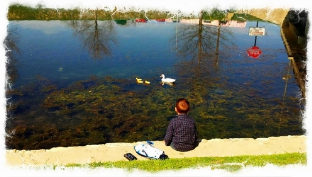 February 2012 Winner